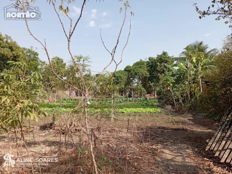 CHÁCARA a venda no COMUNIDADE BETEL em Sinop/MT