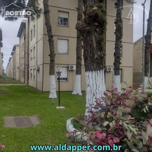 APARTAMENTO A VENDA NO VILA JUNÇÃO EM RIO GRANDE/RS