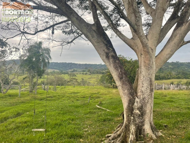 Chácara a venda no ZONA RURAL em Chupinguaia/RO