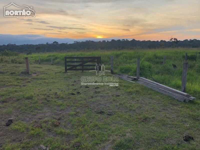 FAZENDA a venda no RURAL em Nova Monte Verde/MT