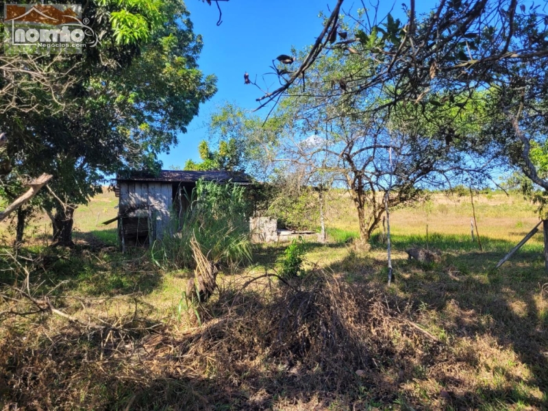 Casa à venda com 2 quartos - Foto 5