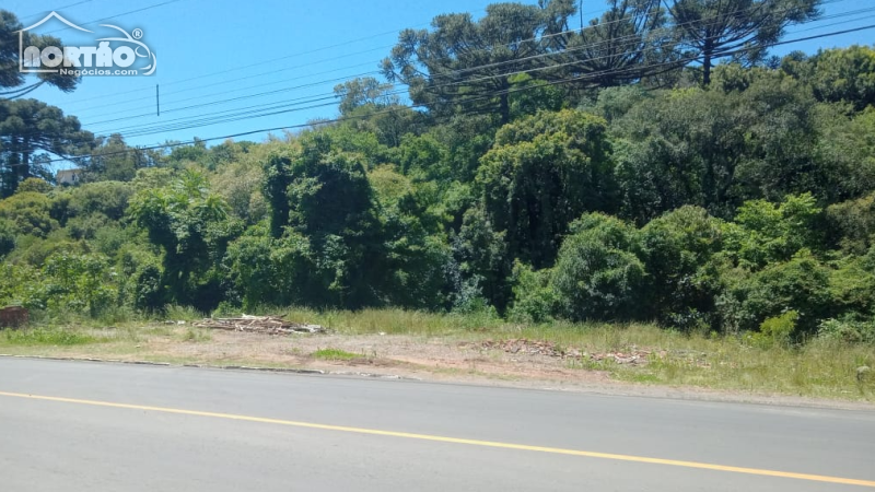 Terreno a venda no SIMONAGGIO em Garibaldi/RS