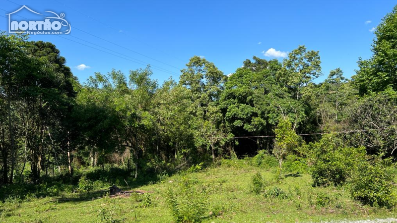 TERRENO A VENDA NO CARAZAL EM GRAMADO/RS