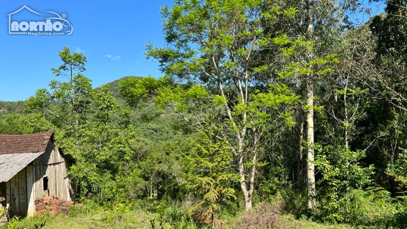 TERRENO A VENDA NO CARAZAL EM GRAMADO/RS