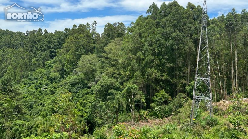 Terreno a venda no FARROUPILHA em Farroupilha/RS