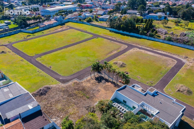 Terreno à venda com 1 quarto, 52m² - Foto 9