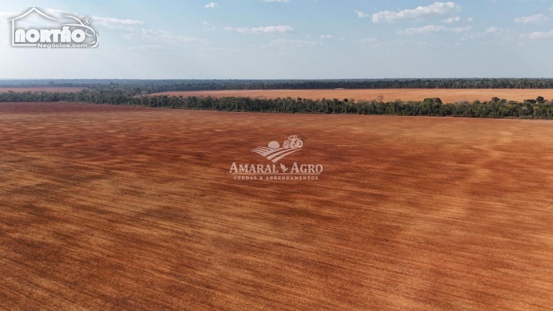 FAZENDA A VENDA NO FAZENDA À VENDA EM SINOP/MT