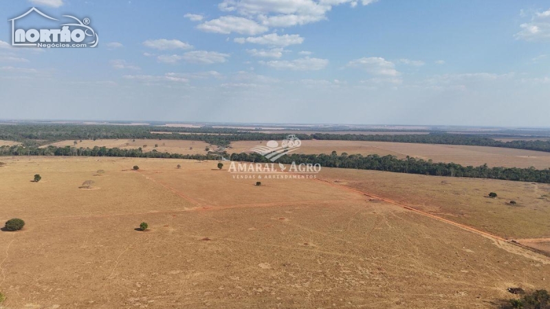 ÁREA A VENDA NO FAZENDA À VENDA EM SINOP/MT