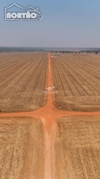 ÁREA A VENDA NO FAZENDA À VENDA EM SINOP/MT