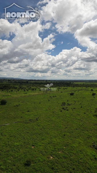 FAZENDA A VENDA NO FAZENDA À VENDA EM SINOP/MT