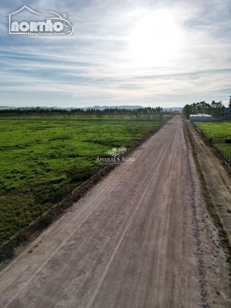 FAZENDA A VENDA NO FAZENDA À VENDA EM SINOP/MT