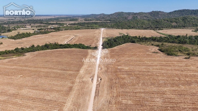 FAZENDA A VENDA NO FAZENDA À VENDA EM SINOP/MT