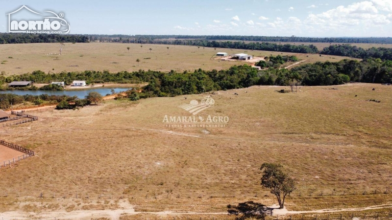 FAZENDA A VENDA NO FAZENDA À VENDA EM SINOP/MT