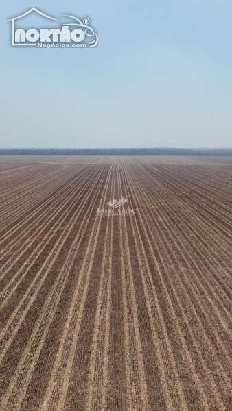 FAZENDA A VENDA NO FAZENDA Á VENDA EM SINOP/MT