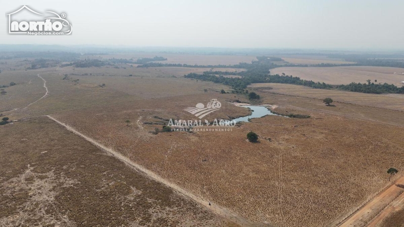 FAZENDA A VENDA NO FAZENDA À VENDA EM SINOP/MT