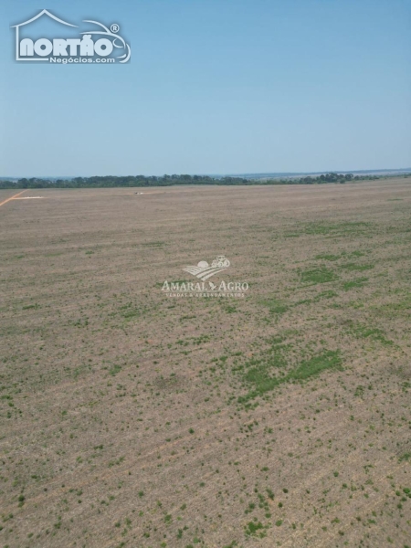 FAZENDA A VENDA NO FAZENDA À VENDA EM SINOP/MT