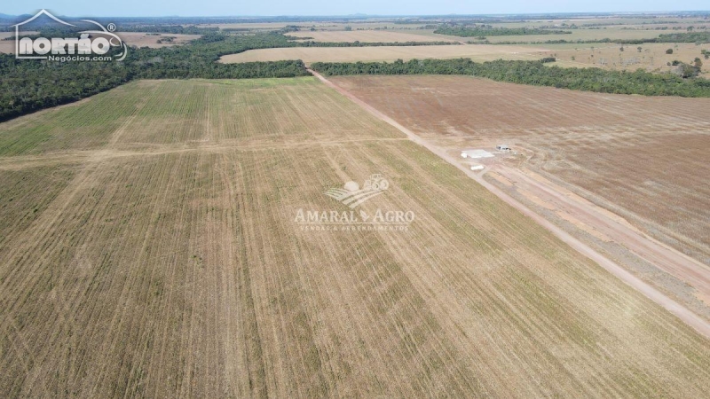 FAZENDA A VENDA NO FAZENDA À VENDA EM SINOP/MT