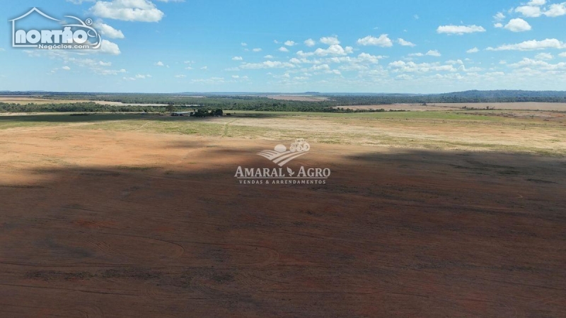 FAZENDA A VENDA NO FAZENDA À VENDA EM SINOP/MT