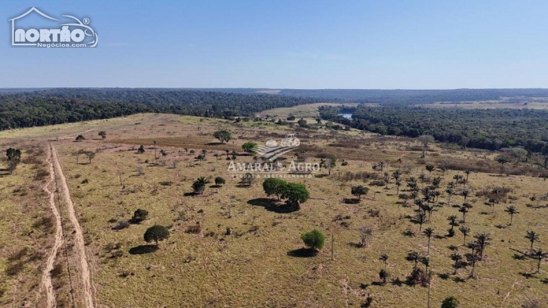 FAZENDA a venda no FAZENDA À VENDA em Sinop/MT