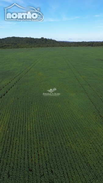 FAZENDA a venda no FAZENDA À VENDA em Sinop/MT