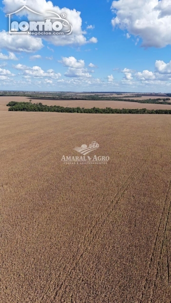 FAZENDA a venda no FAZENDA À VENDA em Sinop/MT