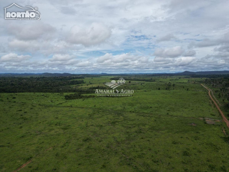 FAZENDA a venda no FAZENDA À VENDA em Sinop/MT