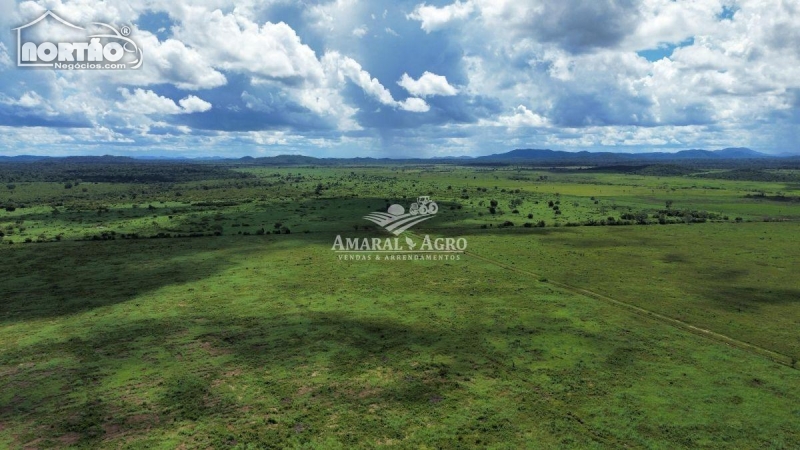 FAZENDA a venda no FAZENDA À VENDA em Sinop/MT