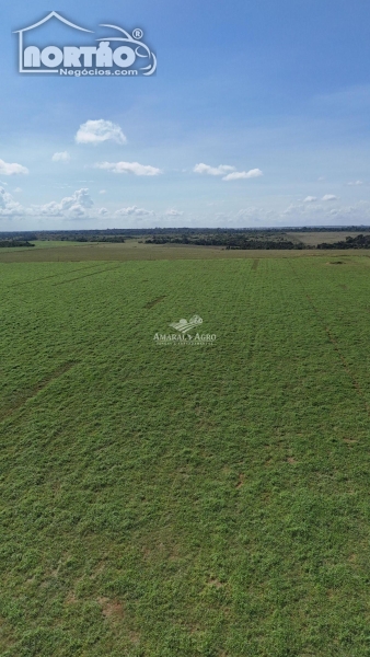 FAZENDA a venda no F em Sinop/MT