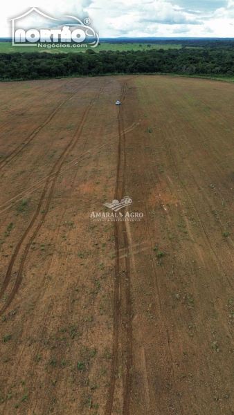 FAZENDA a venda no FAZENDA À VENDA em Sinop/MT