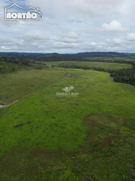 FAZENDA a venda no FAZENDA À VENDA em Sinop/MT