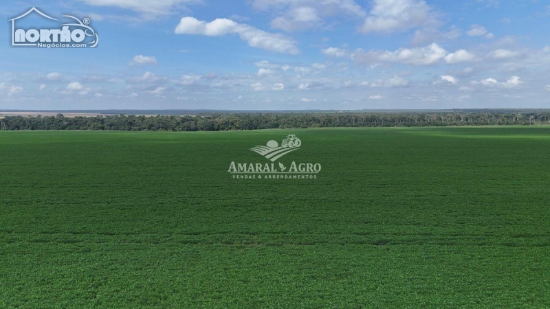 FAZENDA a venda no FAZENDA À VENDA em Sinop/MT