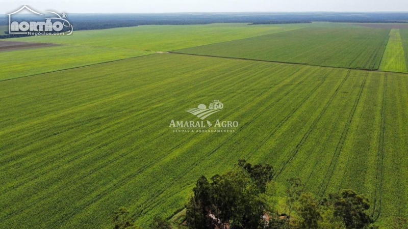 FAZENDA a venda no FAZENDA À VENDA em Sinop/MT