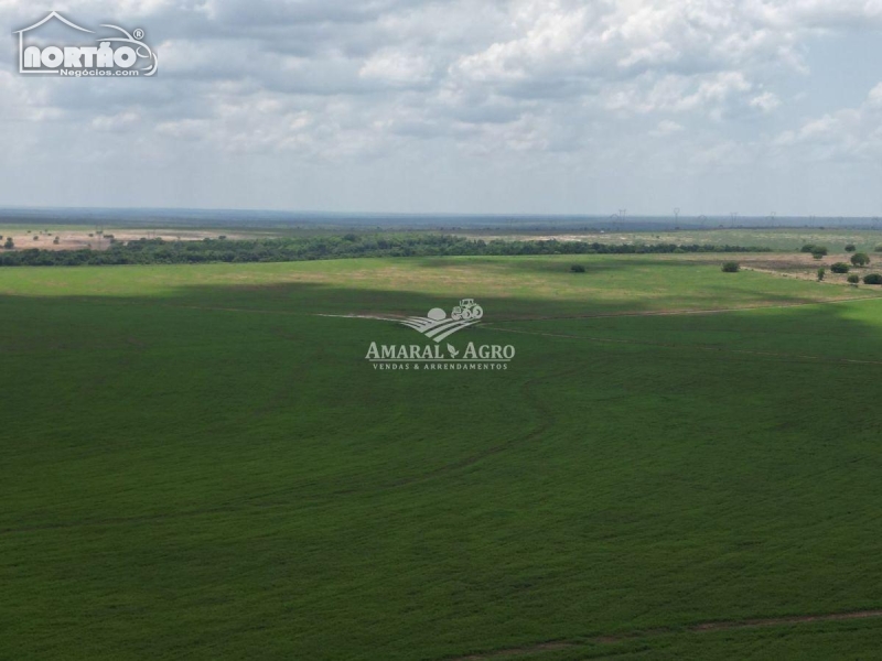 FAZENDA a venda no FAZENDA À VENDA em Sinop/MT