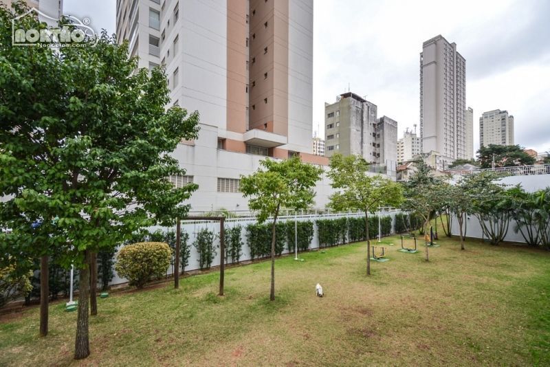 Casa à venda com 4 quartos, 171m² - Foto 2