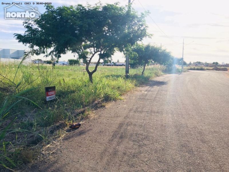 Terreno à venda - Foto 4