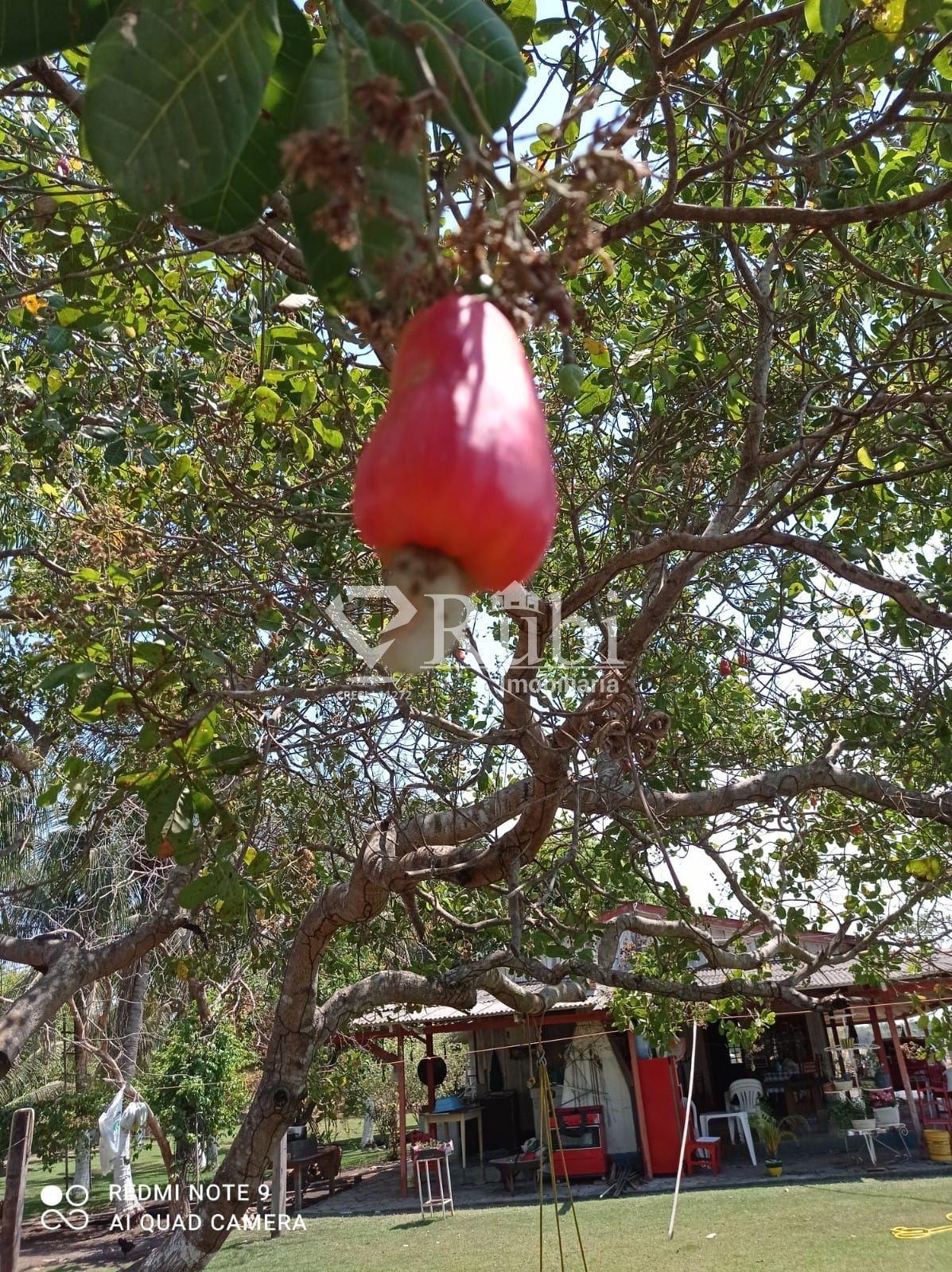 Casa à venda com 4 quartos - Foto 3