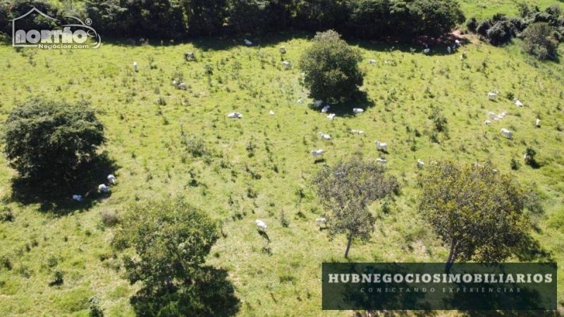 Fazenda a venda no SÃO GERALDO em Coração de Jesus/MG
