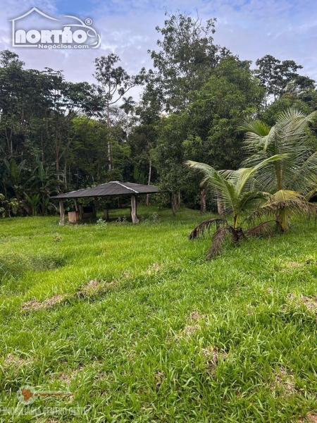 SÍTIO a venda no GLEBA MERCEDES em Sinop/MT