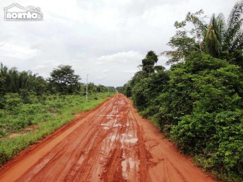 FAZENDA A VENDA NO ZONA RURAL EM NOVA MARINGÁ/MT