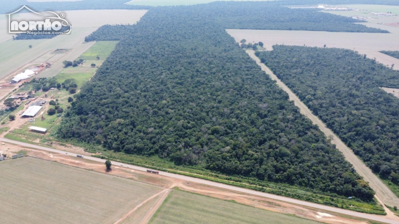 SÍTIO A VENDA NO ZONA RURAL EM SINOP/MT
