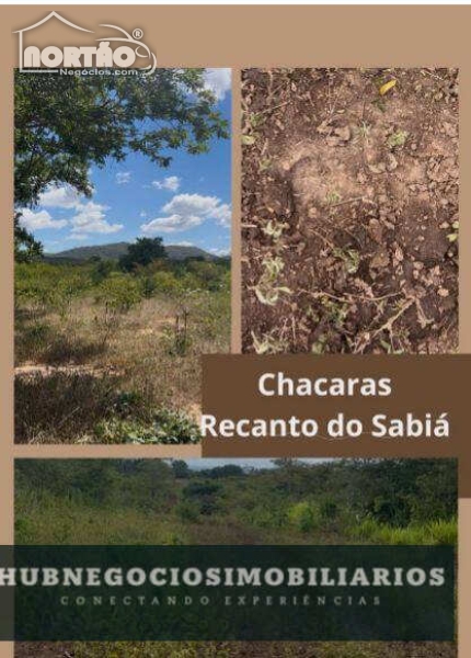 Terreno à venda, 1000m² - Foto 2