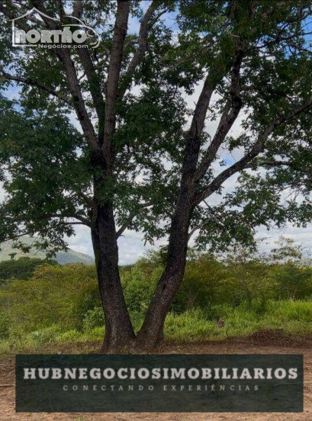 Terreno à venda, 1000m² - Foto 3