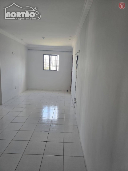 Casa à venda com 3 quartos, 60m² - Foto 8