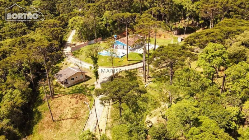 Casa à venda com 3 quartos, 220m² - Foto 1