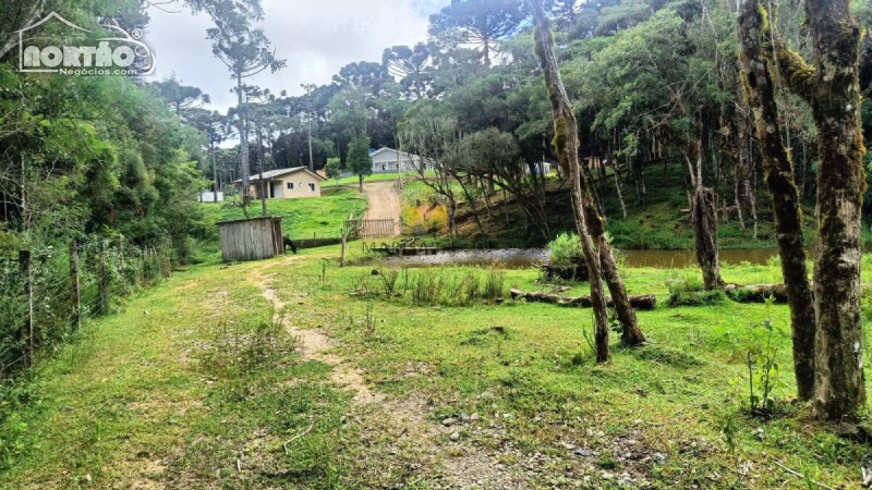 Casa à venda com 3 quartos, 220m² - Foto 4