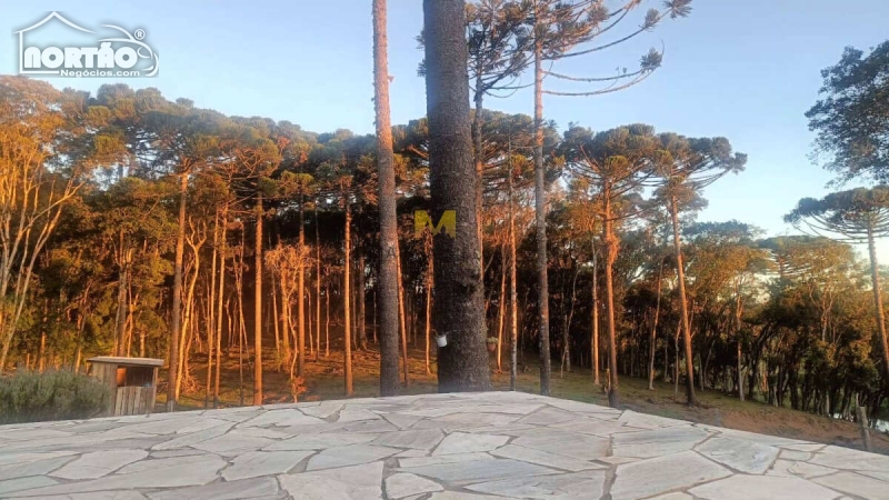 Casa à venda com 3 quartos, 220m² - Foto 6