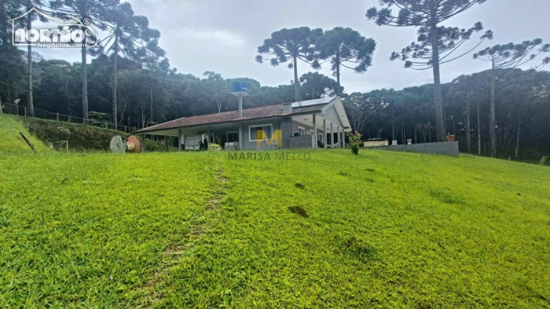 Casa à venda com 3 quartos, 220m² - Foto 8