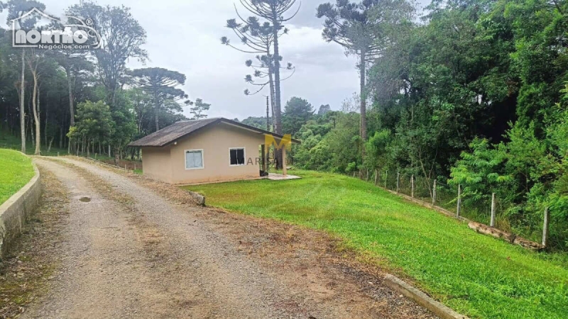 Casa à venda com 3 quartos, 220m² - Foto 9
