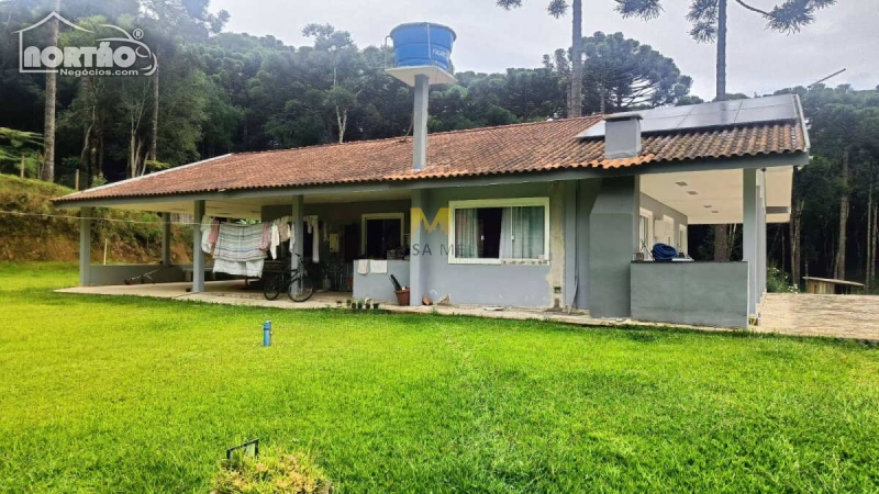 Casa à venda com 3 quartos, 220m² - Foto 10