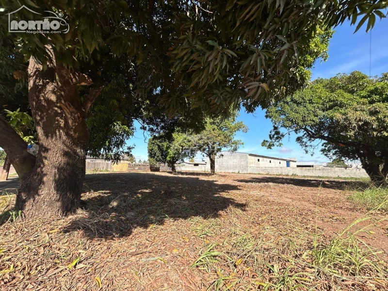 Casa à venda, 1750m² - Foto 4